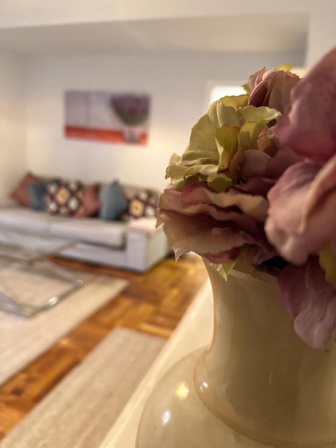 Fantastico Apartamento En El Centro De Bilbao Dış mekan fotoğraf